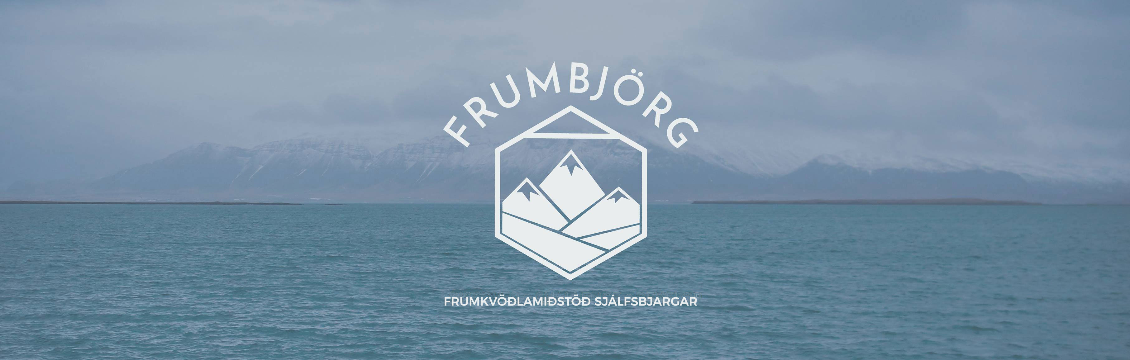 Frumbjörg - Discover, Challenge, Develop